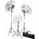 vidaXL Photo studio with Lights and Background 500x300cm White