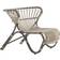 Sika Design Fox Lounge Chair