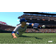 MLB The Show 21 (PS4)