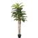 Europalms Kentia Palm Zierelement