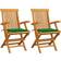 vidaXL 3062490 2-pack Garden Dining Chair