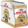 Royal Canin Maine Coon 12x85g