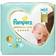 Pampers Premium Care Size 1 2-5kg 26pcs