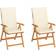 vidaXL 3062379 2-pack Reclining Chair