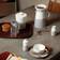 Royal Doulton Coffee Studio Sugar/Milk Set Kjøkkenutstyr 2st