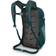 Osprey Daylite 13L - Nieve Green