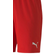 Puma teamGOAL 23 Knit Shorts Men - Red