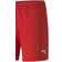 Puma teamGOAL 23 Knit Shorts Women - Red