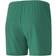 Puma teamGOAL 23 Knit Shorts Women - Pepper Green