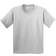 Gildan Heavy Cotton T-Shirt Pack Of 2 - Ash Grey (UTBC4271-1)