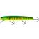 Westin Giant Pike Wobbler 17cm Concealed Fish+