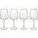 Luigi Bormioli Talismano Red Wine Glass 70cl 4pcs