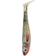 Abu Garcia Svartzonker McPerch Shad 9cm Real Pike