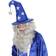 Widmann Wizard Hat For Adults