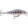 Rapala Shadow Rap Solid Shad 5cm Yamame (YM)