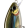 Rapala Super Shadow Rap 11cm Smelt On The Beach (SMB)