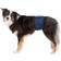 Trixie Nappies for Male Dogs Washable M