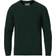 Colorful Standard Classic Merino Wool Crew Neck Sweater Unisex - Emerald Green