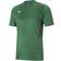 Puma teamCUP Training Jersey Men - Amazon Green/Dark Green/Green Gecko