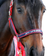 John Whitaker Padded Fleece Headcollar