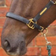 Hy Leather Head Collar