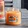 Yankee Candle Farm Fresh Peach Medium Duftkerzen 411g