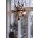 PR Home Mary Julestjerne 46cm