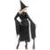 Widmann Gothic Witch