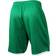 Puma Rapid Wien Home Short 21/22 Youth