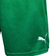 Puma Rapid Wien Home Short 21/22 Youth