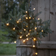 Star Trading Berry Lichterkette 50 Lampen