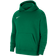 Nike Youth Park 20 Hoodie - Pine Green/White (CW6896-302)