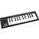 icon Pro Audio iKeyboard 3 Mini