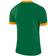 Nike Park Derby II Jersey Men - Pine Green/University Gold/White