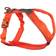 Non-Stop Dogwear Line Harness 5.0 2