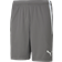 Puma TeamLIGA Short Men - Grey/White