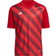 Adidas Kid's Entrada 22 Graphic Jersey - Team Power Red 2/Shadow Red