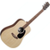 Martin Guitars D-X2E