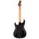 ESP LTD SN-1 HT