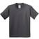 Gildan Kid's Soft Style T-shirt 2-pack - Charcoal