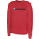 Champion Champion Men's Chest Script Long Sleeve Tee, XXL, Red Red XXL