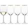 Mikasa Julie Gold White Wine Glass 16.231fl oz 4