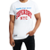 Superdry Varsity Arch T-shirt - Optic