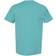 Hanes ComfortWash Garment Dyed Short Sleeve T-shirt Unisex - Spanish Moss