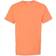 Hanes ComfortWash Garment Dyed Short Sleeve T-shirt Unisex - Horizon