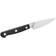 Zwilling Pro 38400-103 Paring Knife 3.94 "