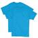 Hanes X-Temp Crewneck Short-Sleeve T-shirt 2-pack Unisex - Neon Blue Heather