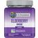 Garden of Life Dr. Formulated Elderberry Immune 60 pcs