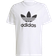 Adidas Adicolor Classics Trefoil T-shirt - White/Black