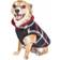 Petlife Allegiance Classical Insulated Plaid Fashion Dog Jacket X-Small